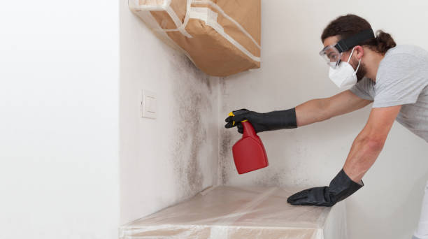 Professional Mold Remediation technician working in Highland, IL
