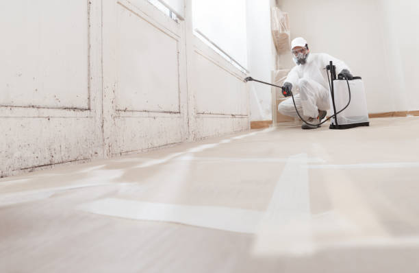24/7 Emergency Mold Remediation experts in Highland, IL